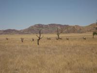 &copy; Annette Zocher (Eberhardt TRAVEL)