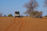 Namibia - Nature Drive in der Kalahari &ndash; &copy; Annett Müller (Eberhardt TRAVEL)