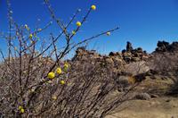 Namibia - Spielplatz der Riesen &ndash; &copy; Annett Müller (Eberhardt TRAVEL)