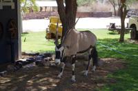 Namibia - Tankstopp &ndash; &copy; Annett Müller (Eberhardt TRAVEL)