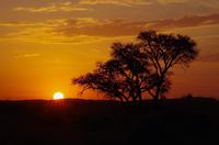 Namibia - Sundowner &ndash; &copy; Annett Müller (Eberhardt TRAVEL)