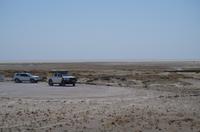 Namibia - Etosha Nationalpark &ndash; &copy; Annett Müller (Eberhardt TRAVEL)