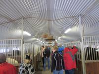 In den Stallungen &ndash; &copy; Madlen Lippe (Eberhardt TRAVEL)