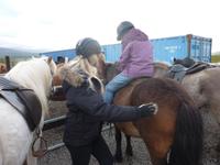 Und hoch auf das Islandpferd :-) &ndash; &copy; Vicky Kern (Eberhardt TRAVEL)