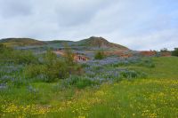 Tag 2 - Island - Geysir (3) &ndash; &copy; Franziska Barthel (Eberhardt TRAVEL)