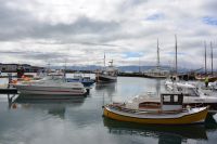 Tag 5 - Island - Husavik (1) &ndash; &copy; Franziska Barthel (Eberhardt TRAVEL)