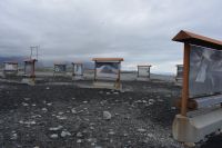Tag 8 - Island - Diamantenstrand (5) &ndash; &copy; Franziska Barthel (Eberhardt TRAVEL)