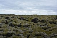 Tag 8 - Island - Lavafeld (2) &ndash; &copy; Franziska Barthel (Eberhardt TRAVEL)