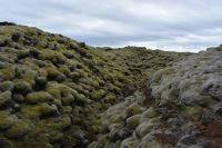 Tag 8 - Island - Lavafeld (3) &ndash; &copy; Franziska Barthel (Eberhardt TRAVEL)
