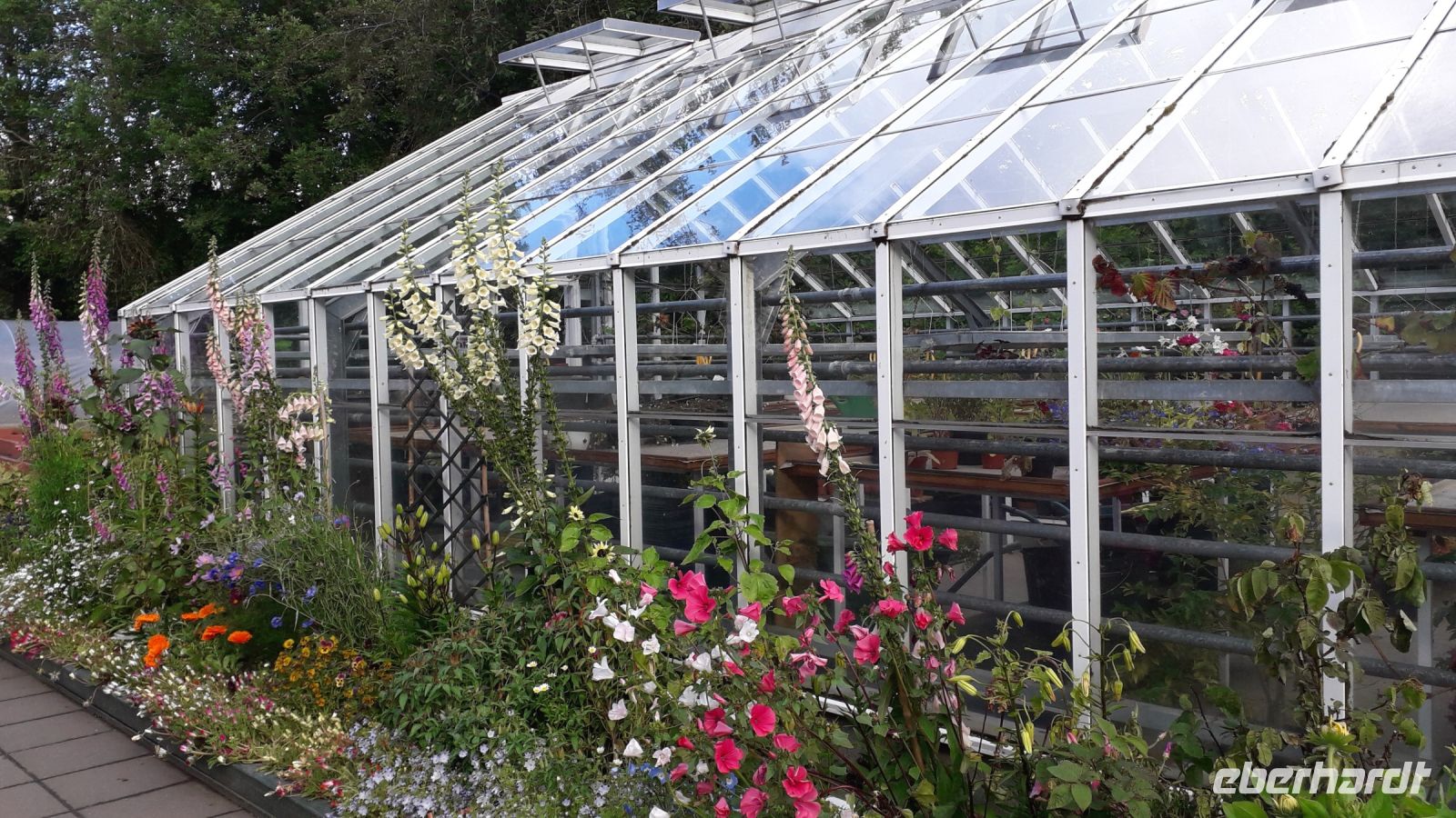 Akureyris Botanischer Garten &ndash; &copy; Julia Kies (Eberhardt TRAVEL)