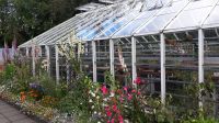 Akureyris Botanischer Garten &ndash; &copy; Julia Kies (Eberhardt TRAVEL)