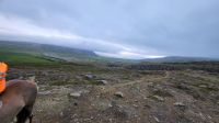 Rundreise Island - Reitausflug mit Islandpferden bei Akureyri &ndash; &copy; Franziska Bergmann (Eberhardt TRAVEL)