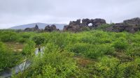 Rundreise Island - Spaziergang im Lava-Labyrinth Dimmuborgir &ndash; &copy; Franziska Bergmann (Eberhardt TRAVEL)