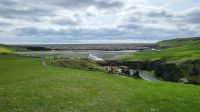 Rundreise Island - kleine Wanderung zur Schlucht Fjaðrárgljúfur &ndash; &copy; Franziska Bergmann (Eberhardt TRAVEL)