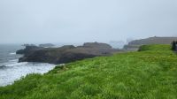 Rundreise Island - Landspitze Dyrholaey &ndash; &copy; Franziska Bergmann (Eberhardt TRAVEL)