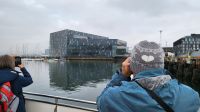 Rundreise Island - Ausflug Goldener Kreis // Auf zur Walbeobachtung ab Reykjavik!