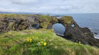 Rundreise Island - Halbinsel Snæfellsnes // Arnarstapi &ndash; &copy; Franziska Bergmann (Eberhardt TRAVEL)