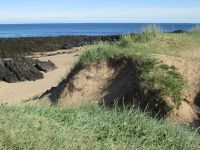 Strand bei Budir &ndash; &copy; Heike Heinen (Eberhardt TRAVEL)