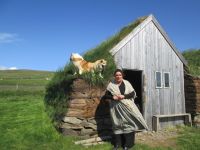 Pferdehof Lytingsstadir  &ndash; &copy; Heike Heinen (Eberhardt TRAVEL)