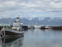 Hafen Husavik &ndash; &copy; Heike Heinen (Eberhardt TRAVEL)