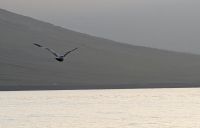 20250715_23 bis morgen, Gute Nacht.jpg &ndash; &copy; Michael Rass (Eberhardt TRAVEL)