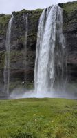 20250718_10 Seljalandfoss.jpg &ndash; &copy; Michael Rass (Eberhardt TRAVEL)