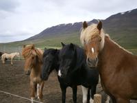 Island 2013 &ndash; &copy; Benjamin Rodriguez Manzanares (Eberhardt TRAVEL)