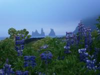 Vík &ndash; &copy; Benjamin Rodriguez Manzanares (Eberhardt TRAVEL)
