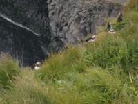 Island 2013 &ndash; &copy; Benjamin Rodriguez Manzanares (Eberhardt TRAVEL)