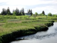 Þingvellir