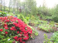 Garten von Petras Steinesammlung &ndash; &copy; Heike Heinen (Eberhardt TRAVEL)