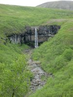Svartifoss