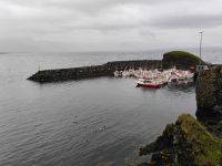Arnastapi, Hafen  &ndash; &copy; Monika Cortese (Eberhardt TRAVEL)