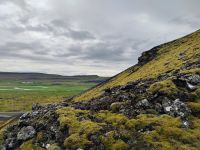 Vulkangestein moosbewachsen &ndash; &copy; Monika Cortese (Eberhardt TRAVEL)