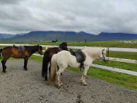 Islandpferde-Farm  &ndash; &copy; Monika Cortese (Eberhardt TRAVEL)