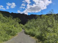Spaziergang durch die Ásbyrgi-Schlucht &ndash; &copy; Monika Cortese (Eberhardt TRAVEL)