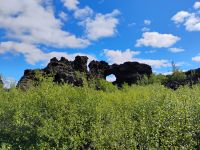 Lavafeld von Dimmuborgir &ndash; &copy; Monika Cortese (Eberhardt TRAVEL)