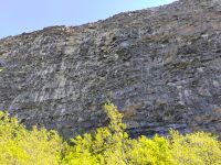 Ásbyrgi-Schlucht &ndash; &copy; Monika Cortese (Eberhardt TRAVEL)
