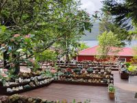 Petras Steinsammlung  &ndash; &copy; Monika Cortese (Eberhardt TRAVEL)