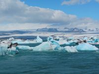 Gletscherlagune Jökulsárlón  &ndash; &copy; Monika Cortese (Eberhardt TRAVEL)