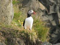 Fotomodel &ndash; &copy; Julia Grunwald (Eberhardt TRAVEL)