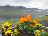 An den Ostfjorden &ndash; &copy; Tom Finke (Eberhardt TRAVEL)