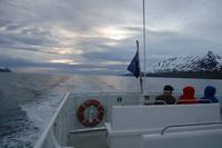Walbeobachtung ab/an Akureyri &ndash; &copy; Gunter Looß (Eberhardt TRAVEL)