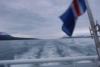 Walbeobachtung ab/an Akureyri &ndash; &copy; Gunter Looß (Eberhardt TRAVEL)