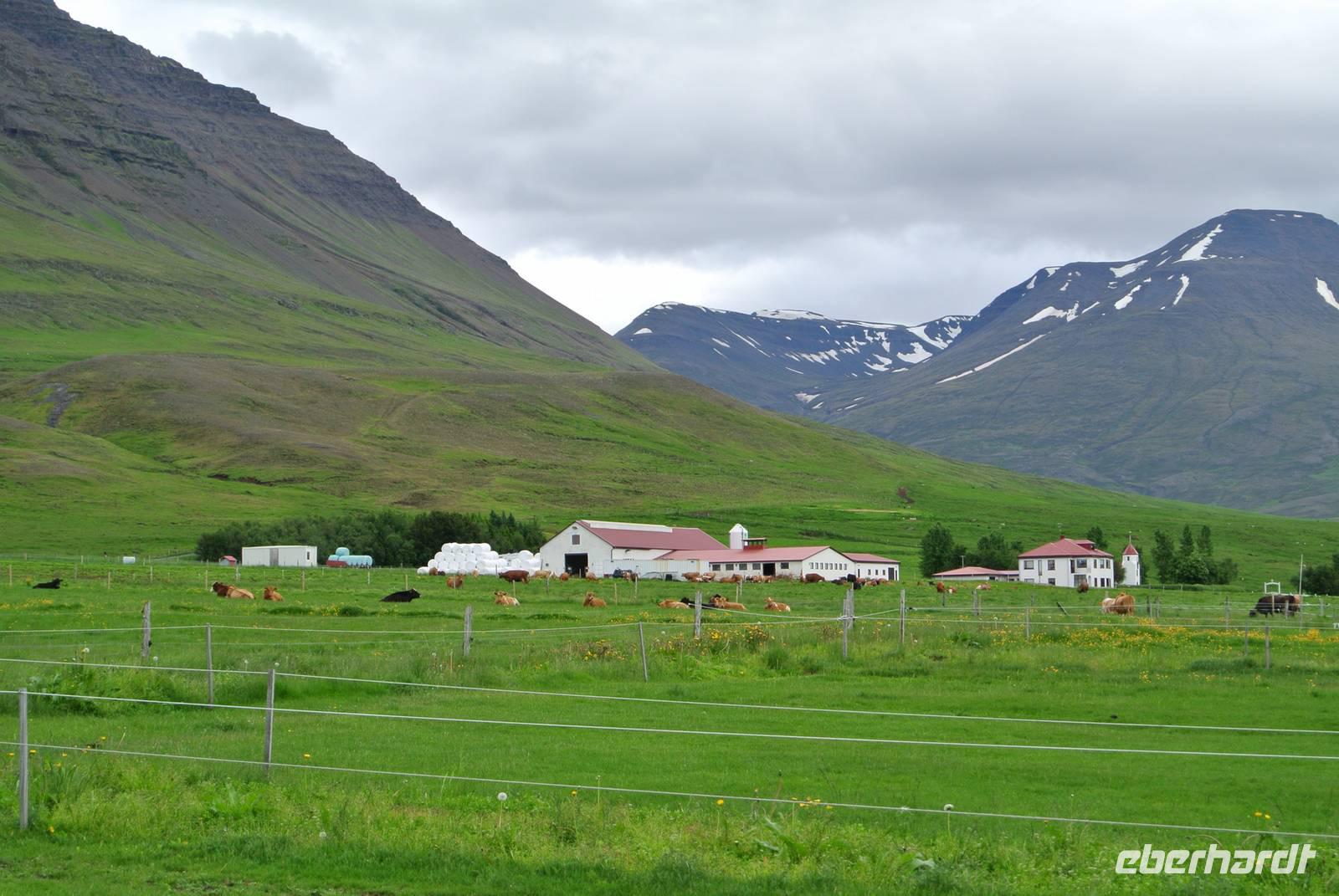 Pferdehof Flugumyri &ndash; &copy; Gerd Przybyla (Eberhardt TRAVEL)