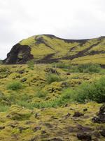 051_Moosbedeckte Landschaft &ndash; &copy; Nadine Schulz (Eberhardt TRAVEL)