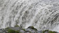 211_Dettifoss &ndash; &copy; Nadine Schulz (Eberhardt TRAVEL)