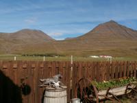 Islands Pferde in Flugumyri &ndash; &copy; Ingrid Langer (Eberhardt TRAVEL)