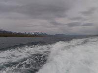 Walwatching im Eyjafjordur &ndash; &copy; Ingrid Langer (Eberhardt TRAVEL)