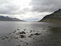 am Berufjord &ndash; &copy; Ingrid Langer (Eberhardt TRAVEL)